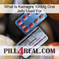 What Is Kamagra 100Mg Oral Jelly Used For 36